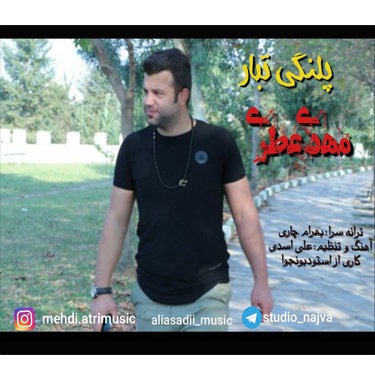 مهدی عطری پلنگی تبار